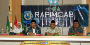 rapimcab pc ipnu ippnu babat